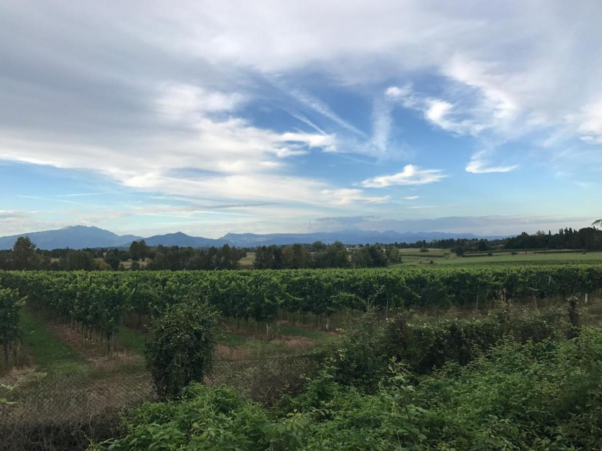 Valle Segreta Valeggio sul Mincio Exteriör bild